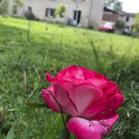 A La Campagne *